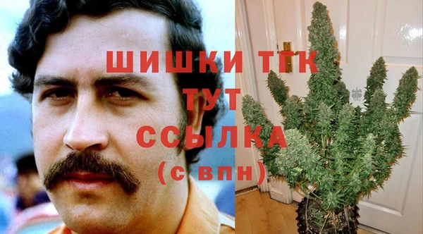 ECSTASY Абаза