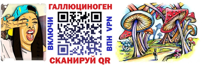 хочу наркоту  Ухта  Псилоцибиновые грибы Cubensis 